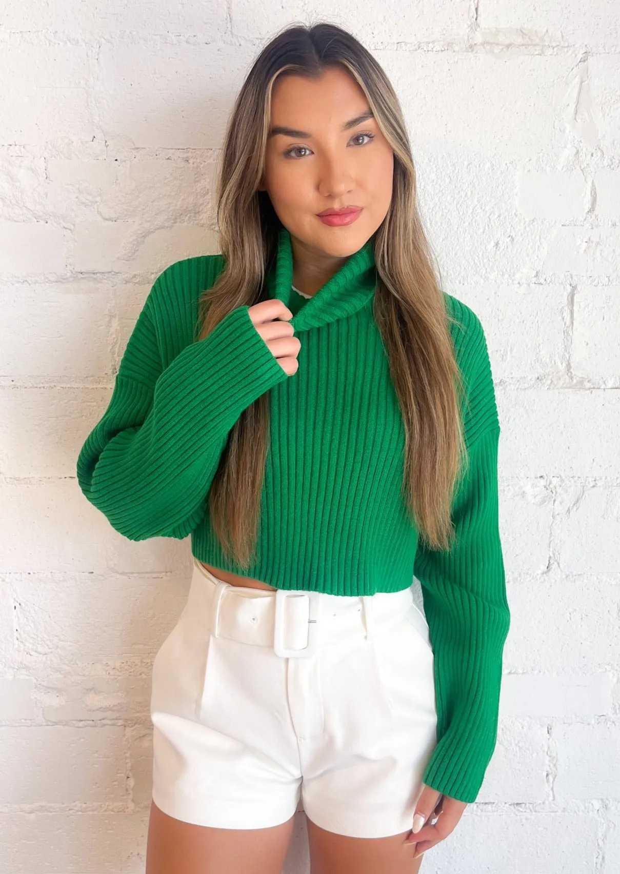 Toasty Babe Turtleneck Crop Sweater